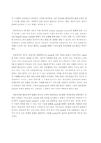 [영어교육론] EFL 환경에서의 성공적인 영어학습-9