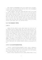 영국여성참정권운동-8