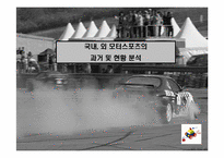 [스포츠와매스컴] MOTOR SPORTS(모터스포츠)의 현황과 매스컴을 이용한 활성화 계획-18
