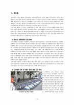 [도시지리] 우리나라의 도시교통문제 연구-16