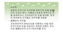 국제범죄조직 레포트-11