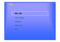 섬유유연제 업체 기업분석 보고서-2