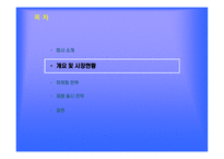 섬유유연제 업체 기업분석 보고서-5