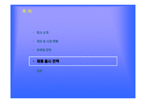 섬유유연제 업체 기업분석 보고서-16