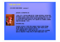 섬유유연제 업체 기업분석 보고서-20