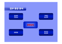 삼성전자 사례를 통한 전략연구-10