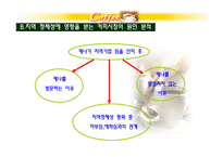 테이크아웃 커피시장분석-15