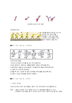 배구 기초기술 레포트-3