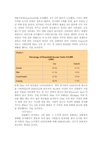 도시문제 사례 레포트-4