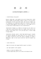 브레인라이팅 창의공학-1
