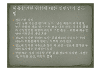 공학에서의 위험 안전 그리고 책임-12