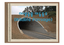 야생동물이동통로 Wild life Passage-1