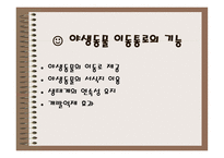 야생동물이동통로 Wild life Passage-3