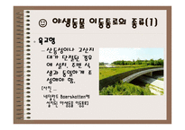 야생동물이동통로 Wild life Passage-4