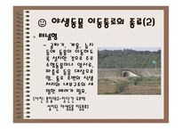 야생동물이동통로 Wild life Passage-5