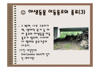야생동물이동통로 Wild life Passage-6