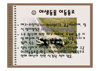 야생동물이동통로 Wild life Passage-9