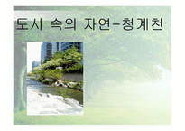 도시 속의 자연 청계천 소개 가는 방법 등-1