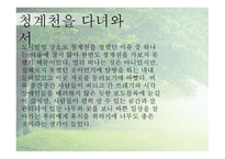 도시 속의 자연 청계천 소개 가는 방법 등-11