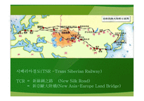 실크로드 부활 TCR-3