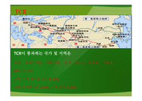 실크로드 부활 TCR-5