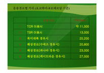 실크로드 부활 TCR-10