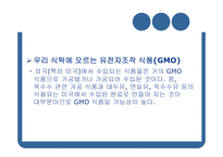 GMO와 농업생명공학-9