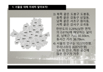 대도시 연구보고서-5