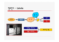 3리터 하우스 친환경초에너지 절약형 건물-12