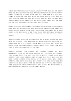 게임이론 GameTheory개요 게임이론 GameTheory개요-2