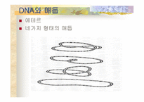 발명연구보고서-3