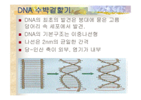 발명연구보고서-4