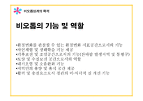 비오톱 설계 육생비오톱 조성-4