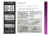 르네상스 이상 도시-8