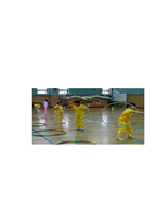 체육수업연간지도계획초등학교 3학년-1