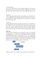 국어 이해 교육론 비판적 이해와 창의적 이해 보고서-4