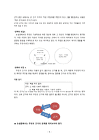 국어 이해 교육론 비판적 이해와 창의적 이해 보고서-5