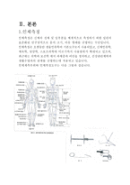체육교과교육론 체력측정 및 평가-4