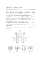 체육교과교육론 체력측정 및 평가-5
