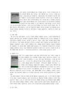 체육과 수업전략-2