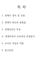유아특수교육 영재-2