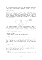 폭력 없는 폭력 없는 평화학교 만들기 프로젝트-4