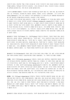 치료놀이의 이해 페어베언의 이론-4