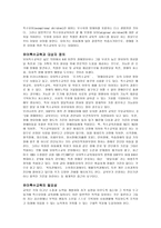 유아특수교육 레포트-2