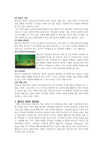 발도르프학교 보고서-3