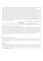 문학의 갈래 수업 지도안 모래톱 이야기-9