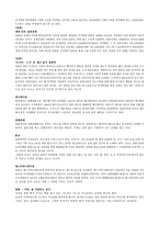 일본의 유아교육-4