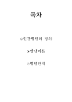 교육심리학 발달이론-2