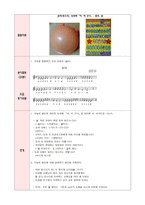 유아음악과 동작 수업계획안 빗방울이 되어요 대집단 신체 여름 날씨 알기-2
