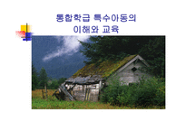 통합학급 특수아동의 이해와 교육-1